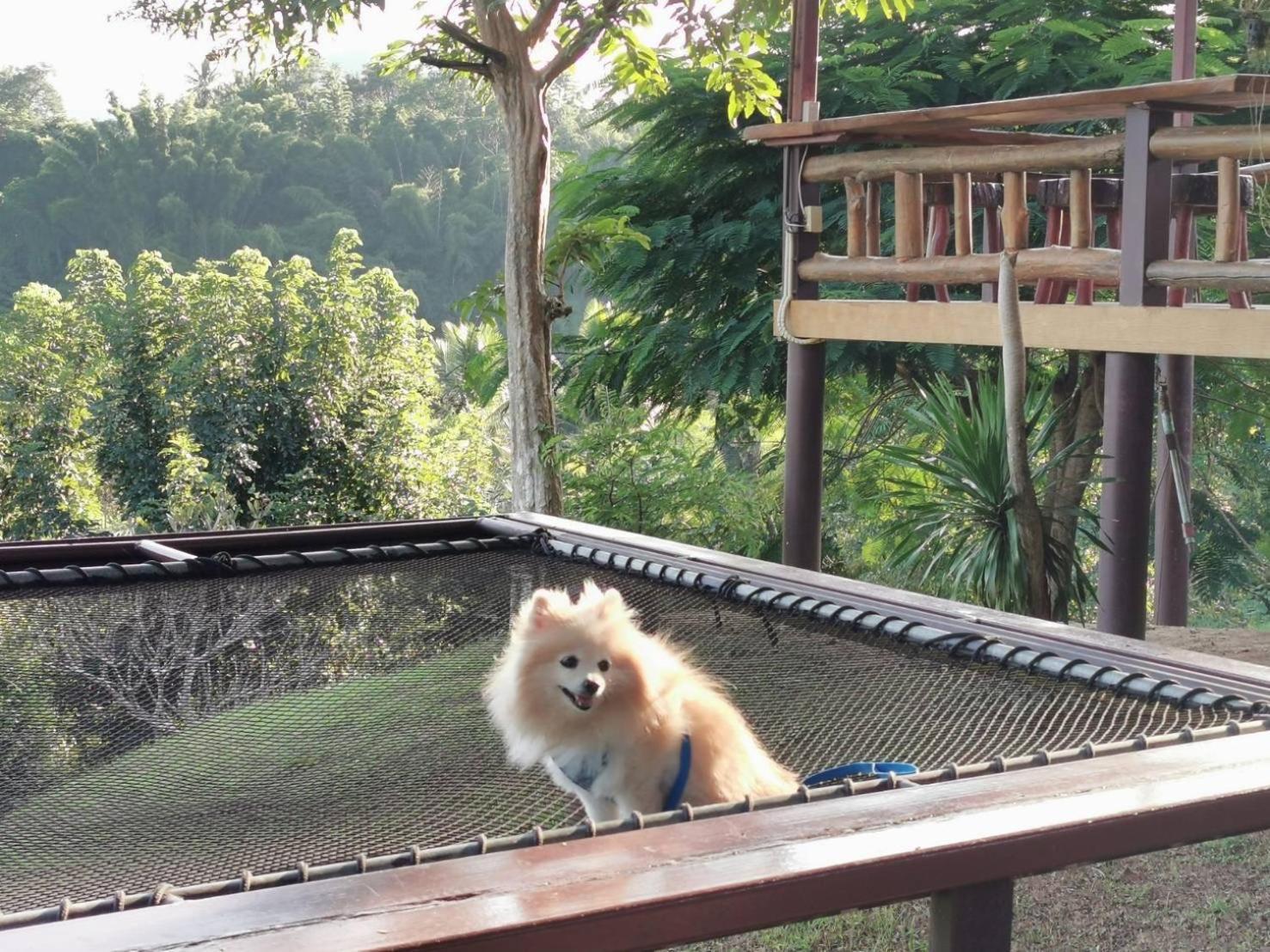 Baanrai Khunya บ้านไร่คุณย่า Ban Huai Maenam Noi Exterior foto